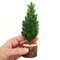 Tiny Christmas Tree, 6.5 inches, Miniature Tree for Dollhouse or Desk, Adorabilities